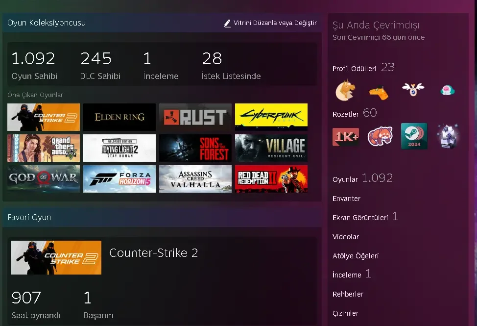 14 Madalyalı 1094 Oyunlu Steam 69 Level Cs 2 Prime