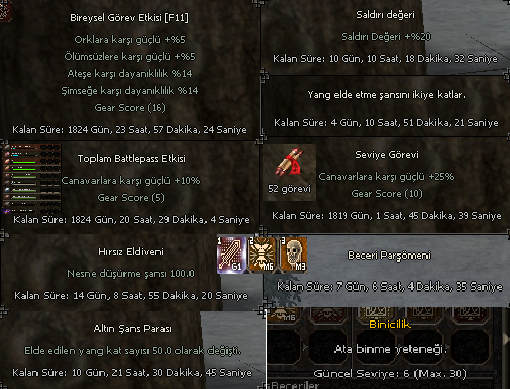 +60 Büyülü Sura +520 DMG 282 GS